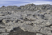 Iceland Landscape